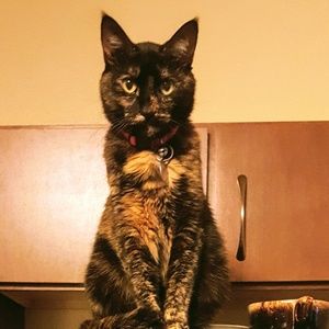 Meet your Posher, Nicole